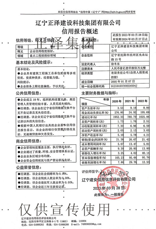 AAA 信用报告概述